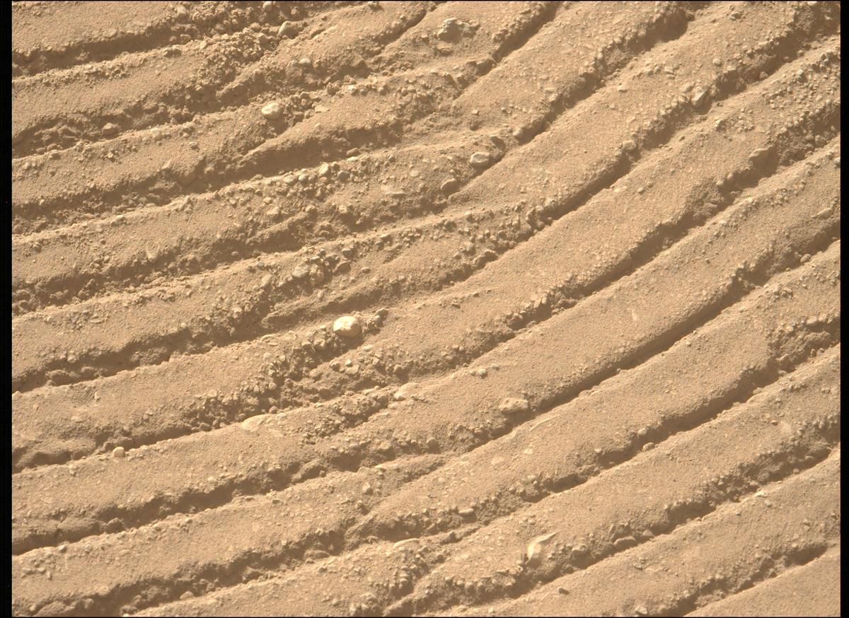 This image was taken by MCZ_LEFT onboard NASA's Mars rover Perseverance on Sol 702