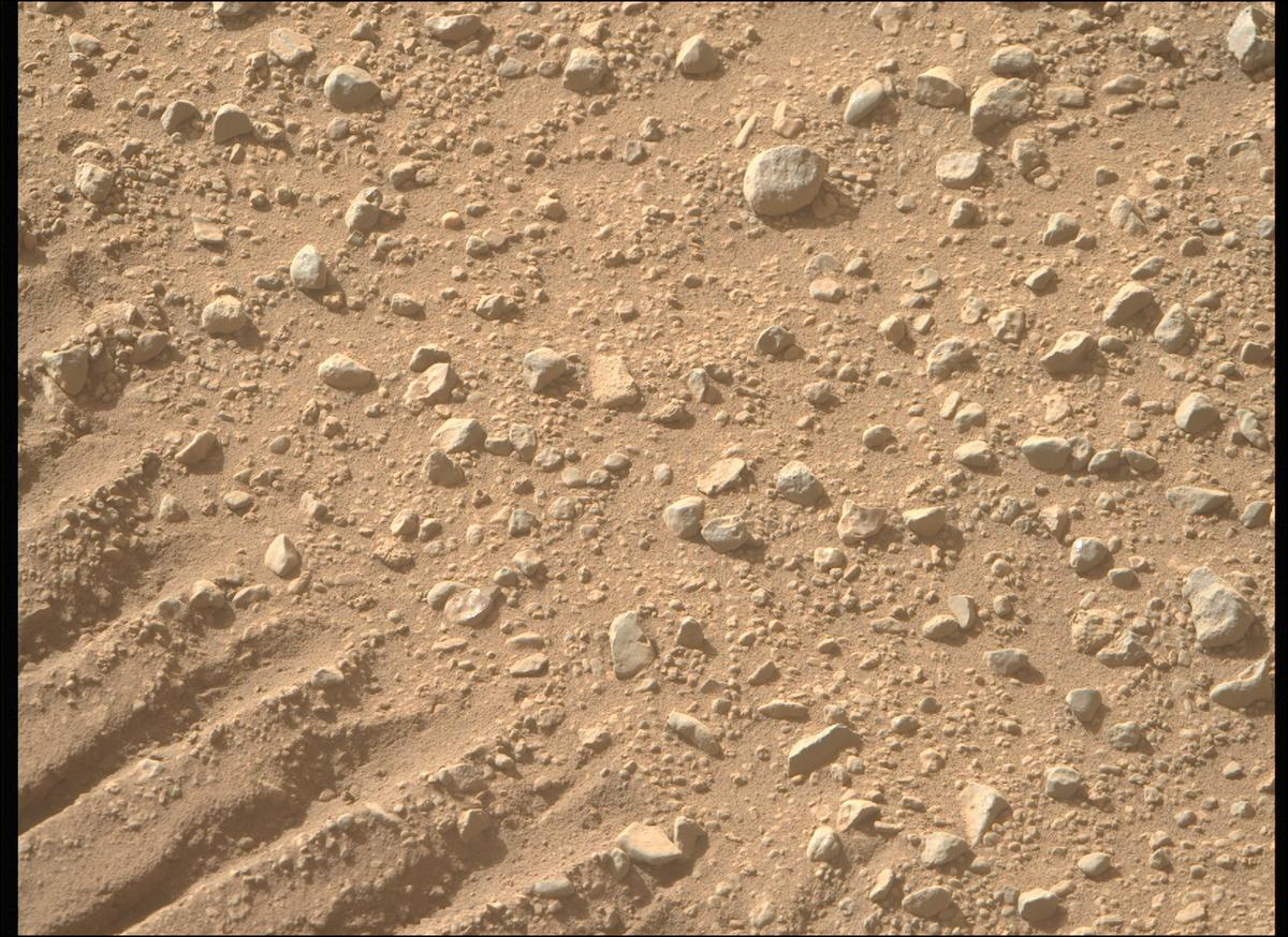 This image was taken by MCZ_RIGHT onboard NASA's Mars rover Perseverance on Sol 702
