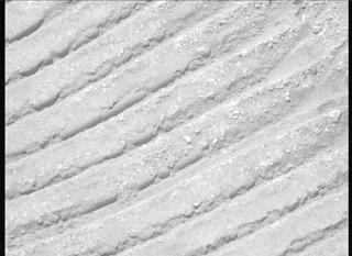 View image taken on Mars, Mars Perseverance Sol 703: Left Mastcam-Z Camera