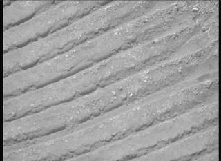 View image taken on Mars, Mars Perseverance Sol 703: Right Mastcam-Z Camera