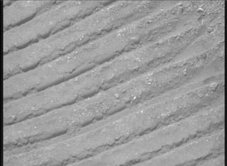 View image taken on Mars, Mars Perseverance Sol 703: Right Mastcam-Z Camera