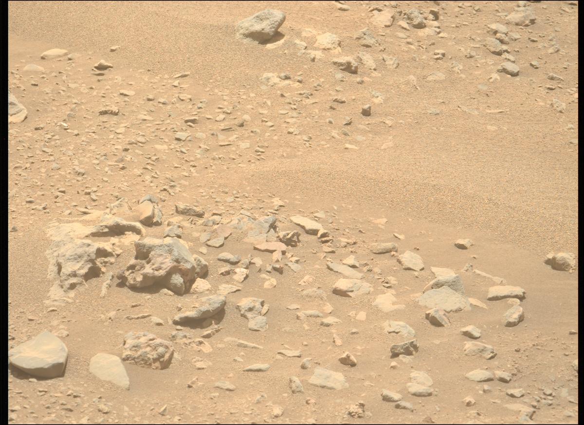 This image was taken by MCZ_LEFT onboard NASA's Mars rover Perseverance on Sol 704