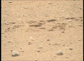 View image taken on Mars, Mars Perseverance Sol 704: Right Mastcam-Z Camera