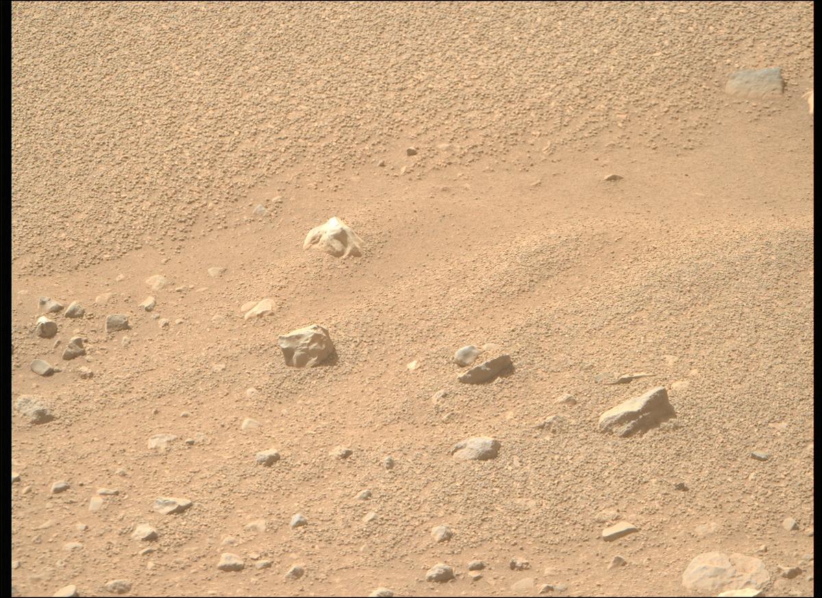 This image was taken by MCZ_RIGHT onboard NASA's Mars rover Perseverance on Sol 704