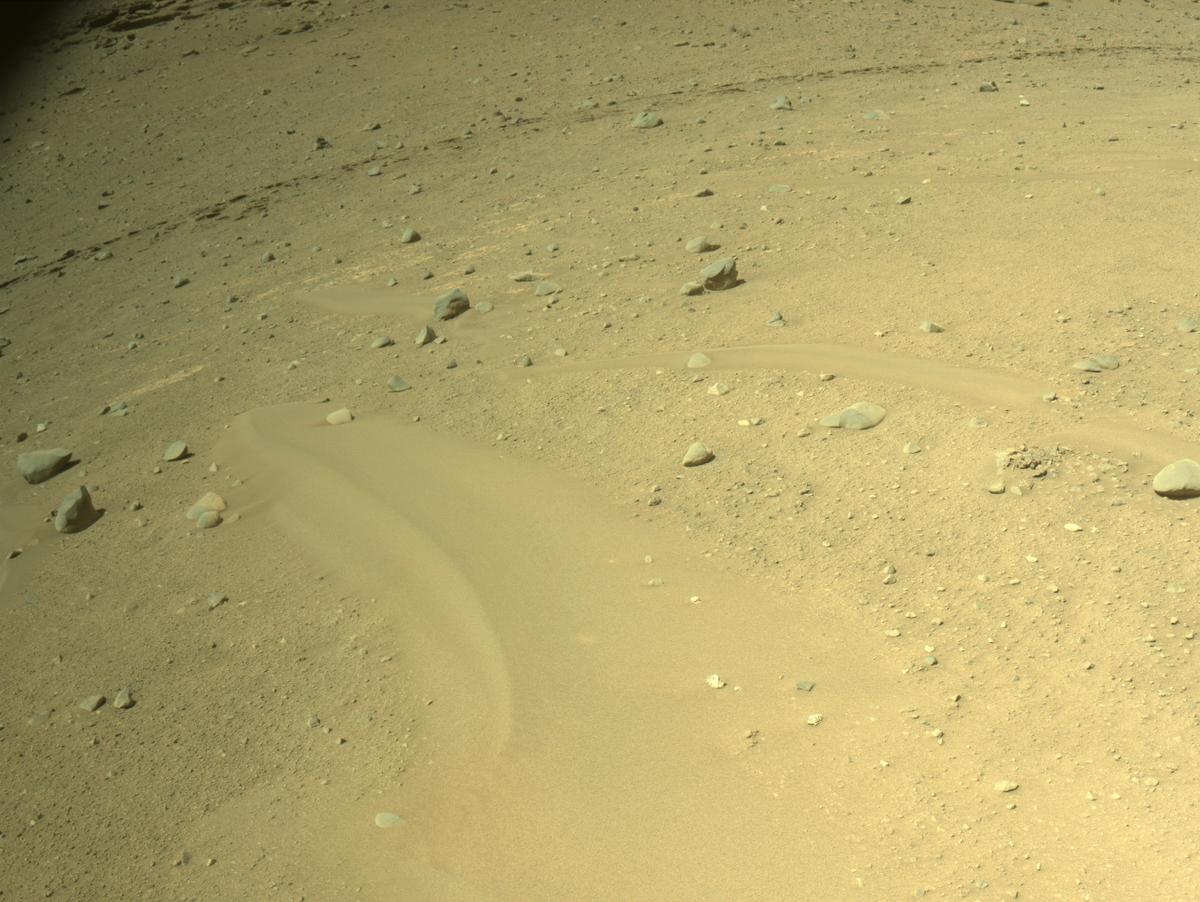 This image was taken by NAVCAM_LEFT onboard NASA's Mars rover Perseverance on Sol 705