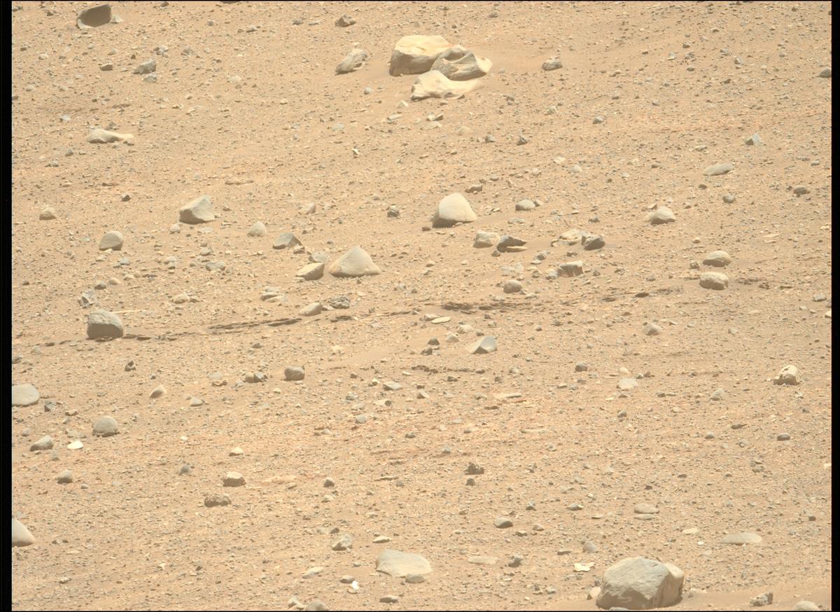 This image was taken by MCZ_LEFT onboard NASA's Mars rover Perseverance on Sol 707