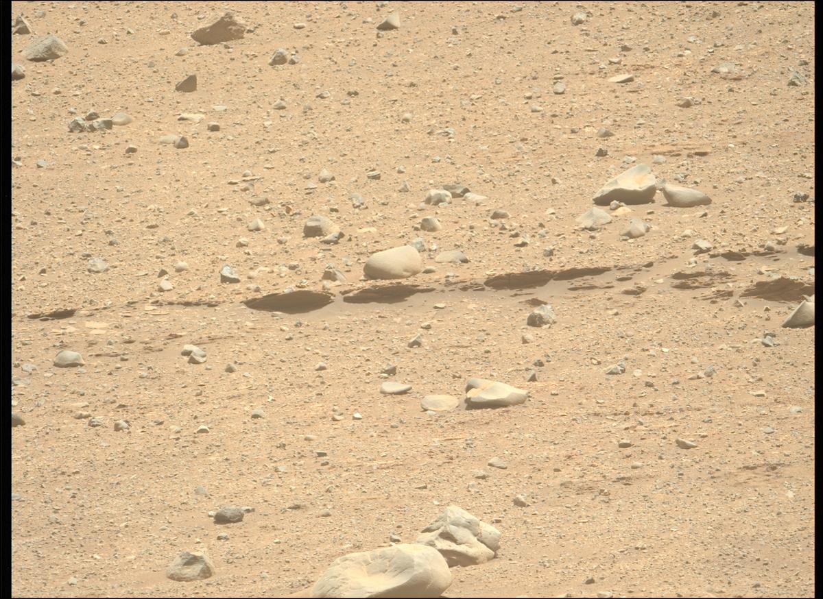 This image was taken by MCZ_LEFT onboard NASA's Mars rover Perseverance on Sol 707