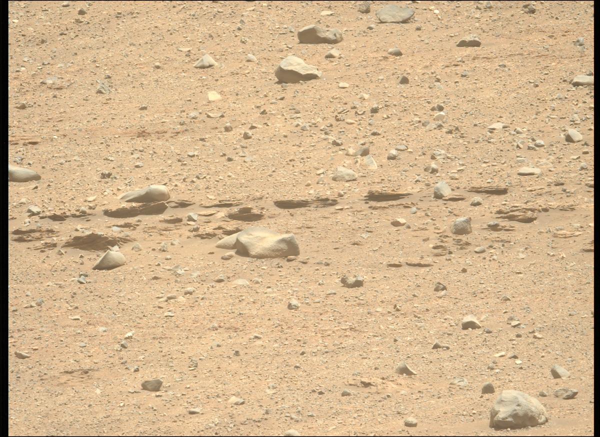 This image was taken by MCZ_LEFT onboard NASA's Mars rover Perseverance on Sol 707
