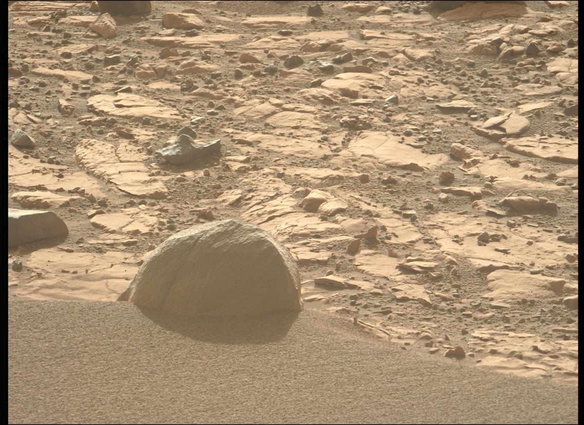 This image was taken by MCZ_LEFT onboard NASA's Mars rover Perseverance on Sol 707