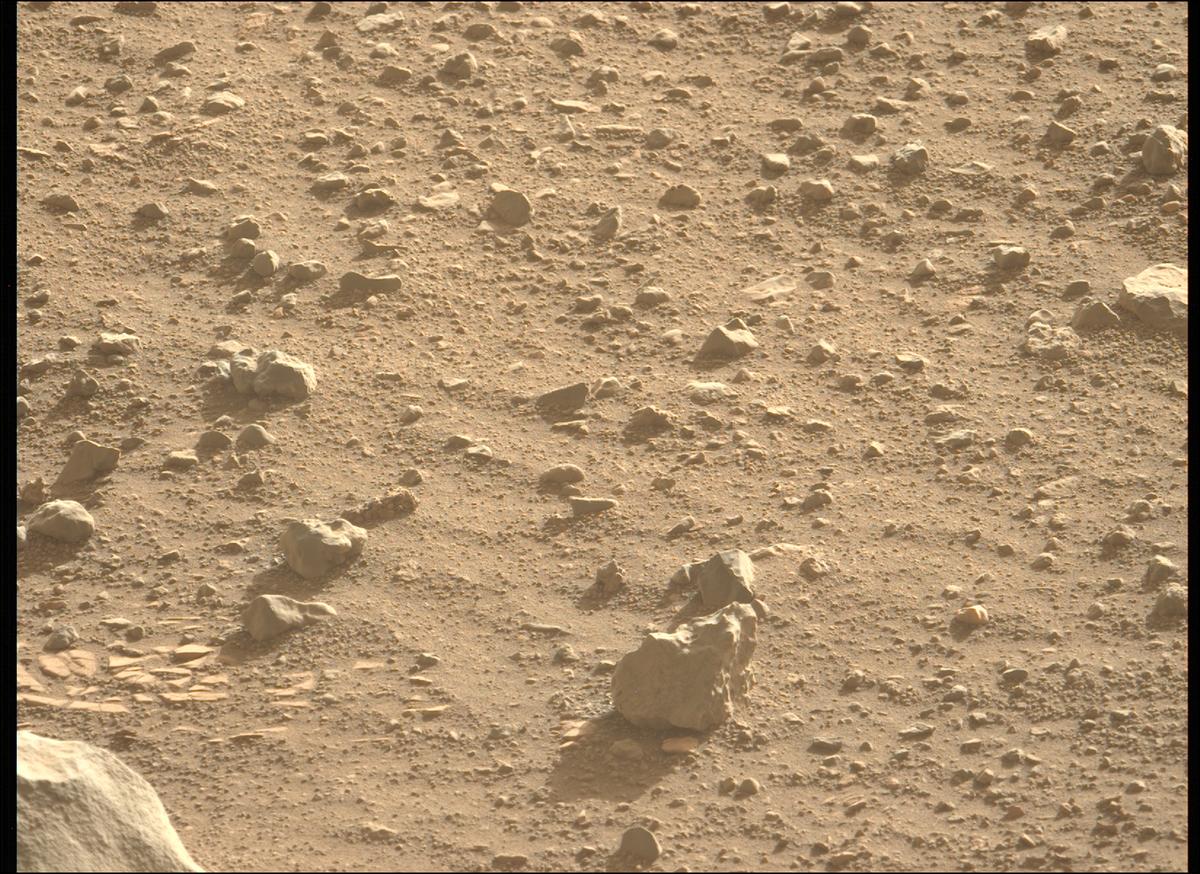 This image was taken by MCZ_LEFT onboard NASA's Mars rover Perseverance on Sol 707