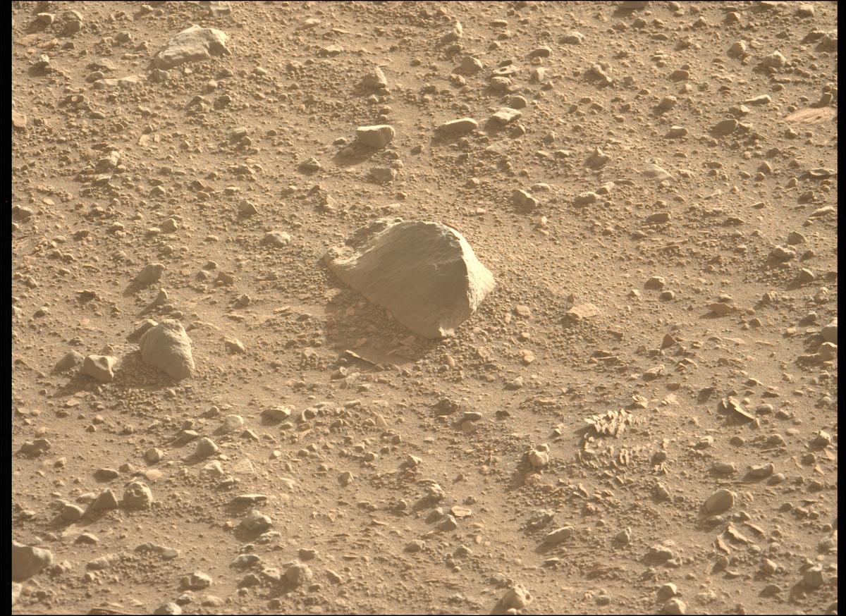 This image was taken by MCZ_LEFT onboard NASA's Mars rover Perseverance on Sol 707