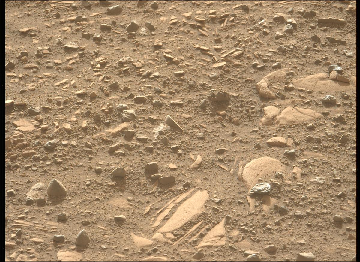 This image was taken by MCZ_LEFT onboard NASA's Mars rover Perseverance on Sol 707