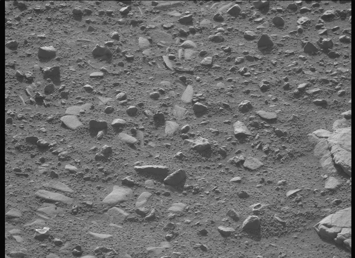 This image was taken by MCZ_LEFT onboard NASA's Mars rover Perseverance on Sol 707