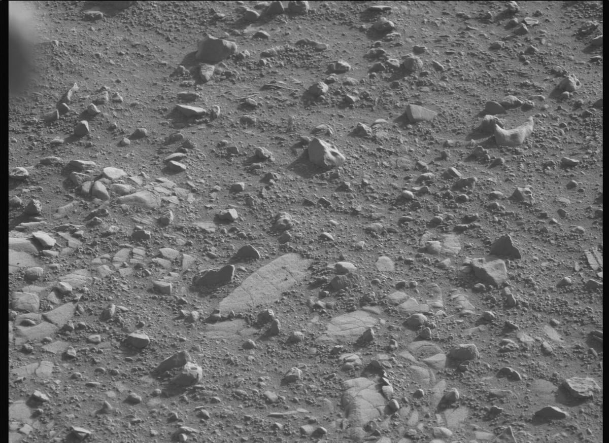 This image was taken by MCZ_LEFT onboard NASA's Mars rover Perseverance on Sol 707