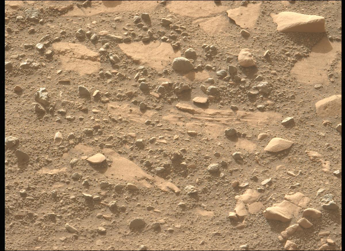 This image was taken by MCZ_LEFT onboard NASA's Mars rover Perseverance on Sol 707