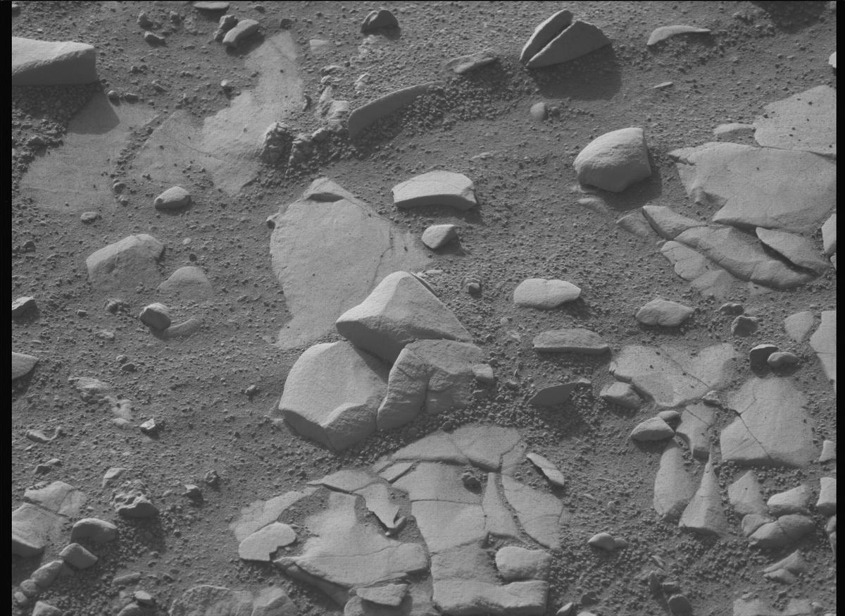 This image was taken by MCZ_LEFT onboard NASA's Mars rover Perseverance on Sol 707