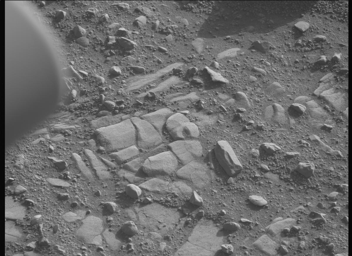 This image was taken by MCZ_LEFT onboard NASA's Mars rover Perseverance on Sol 707