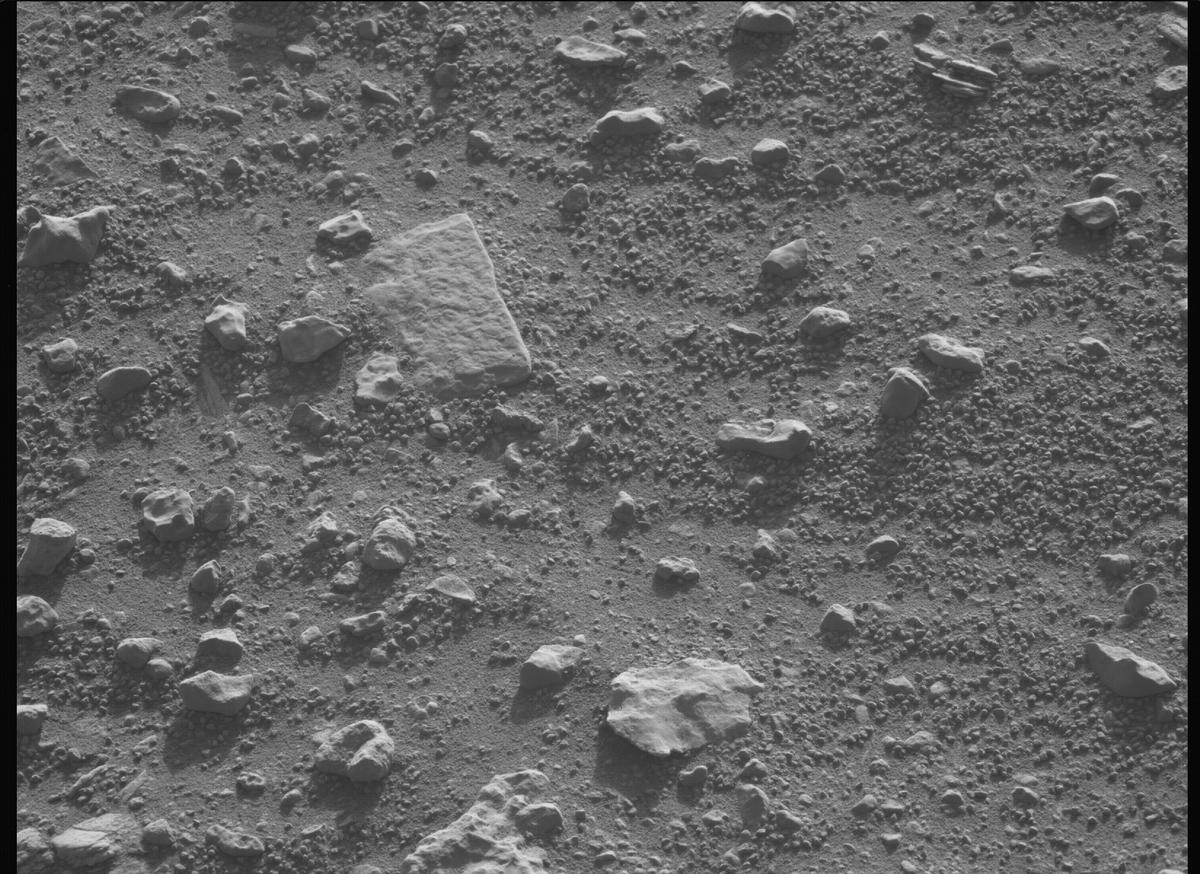 This image was taken by MCZ_LEFT onboard NASA's Mars rover Perseverance on Sol 707