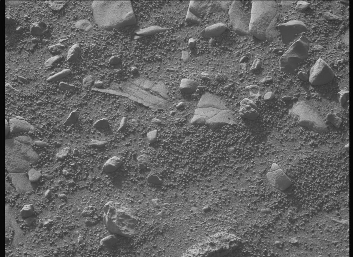 This image was taken by MCZ_LEFT onboard NASA's Mars rover Perseverance on Sol 707