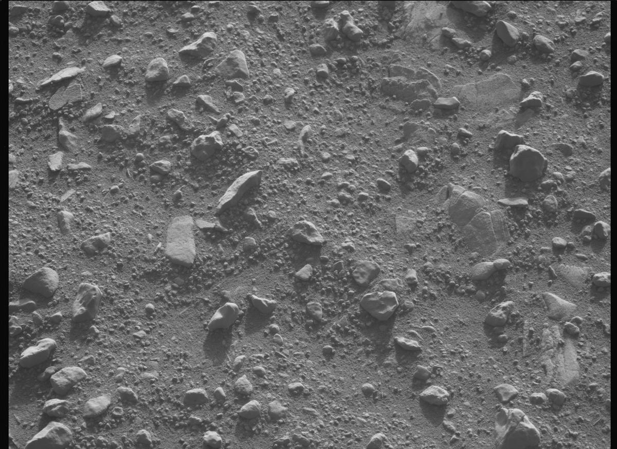 This image was taken by MCZ_LEFT onboard NASA's Mars rover Perseverance on Sol 707