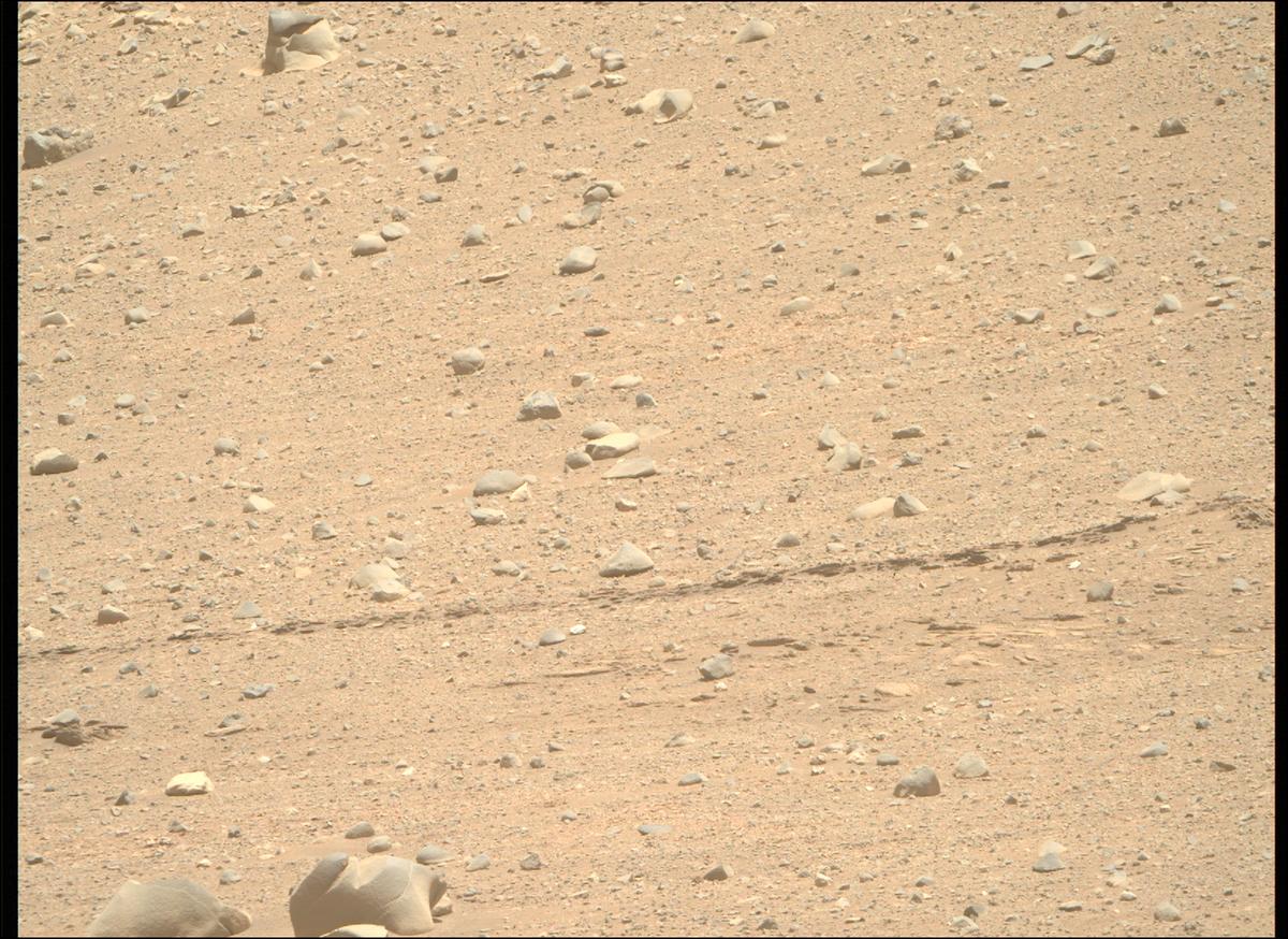 This image was taken by MCZ_RIGHT onboard NASA's Mars rover Perseverance on Sol 707