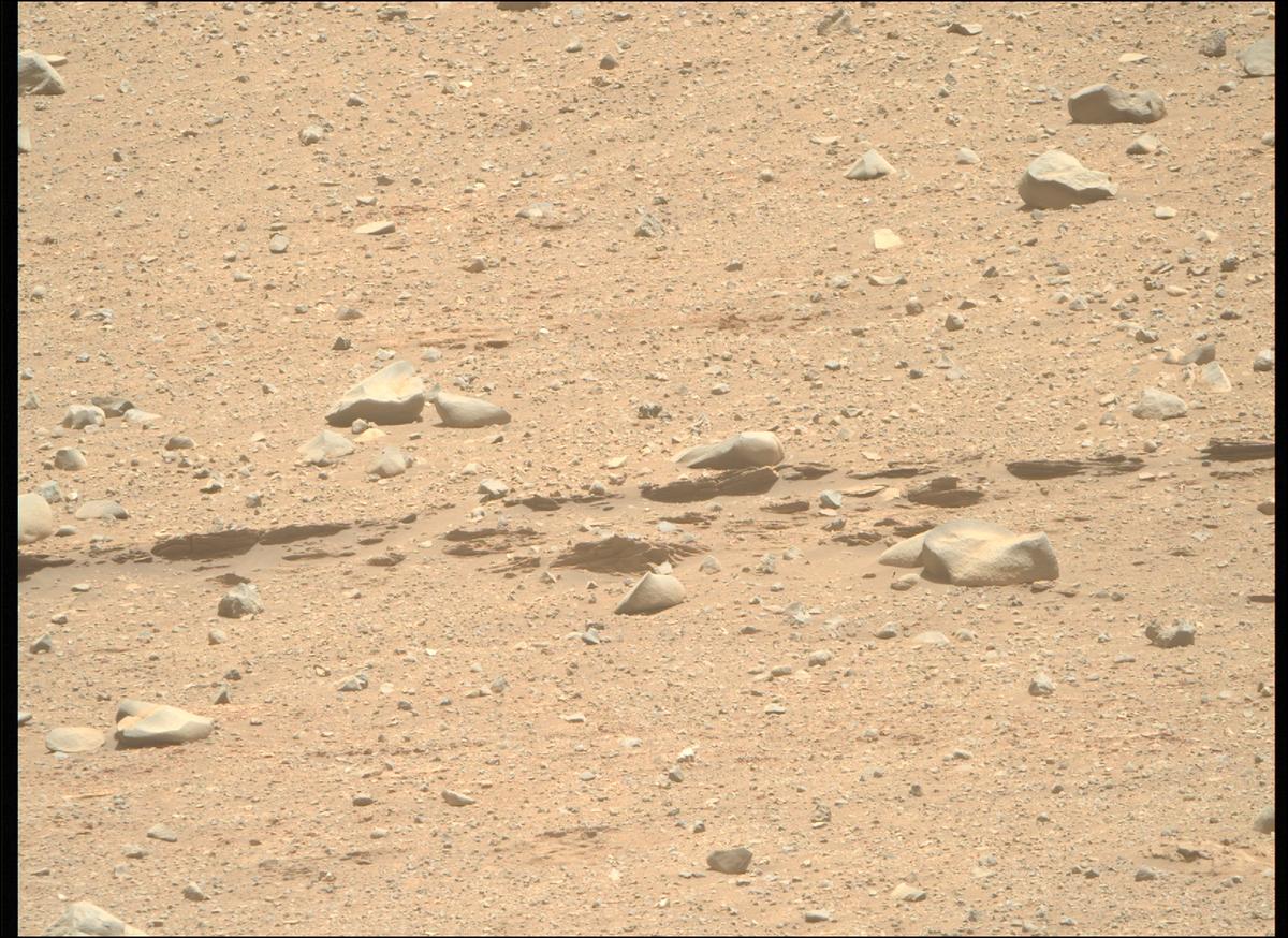 This image was taken by MCZ_RIGHT onboard NASA's Mars rover Perseverance on Sol 707