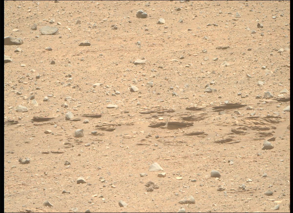 This image was taken by MCZ_RIGHT onboard NASA's Mars rover Perseverance on Sol 707