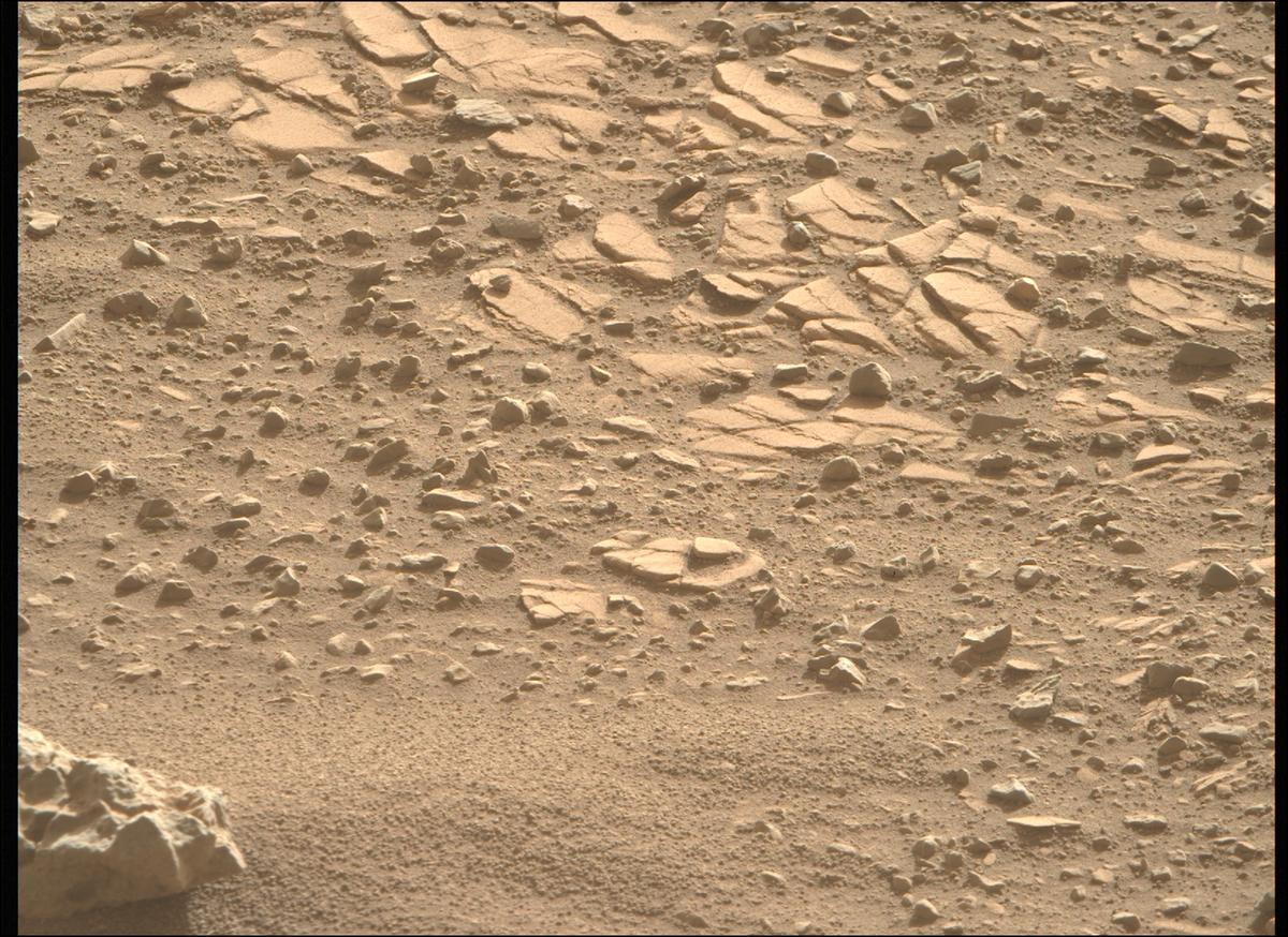 This image was taken by MCZ_RIGHT onboard NASA's Mars rover Perseverance on Sol 707