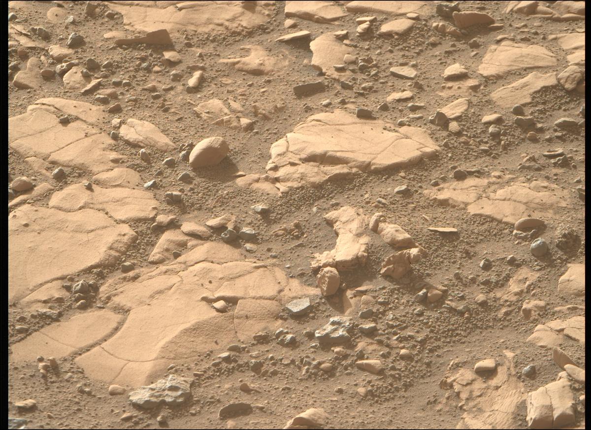 This image was taken by MCZ_RIGHT onboard NASA's Mars rover Perseverance on Sol 707