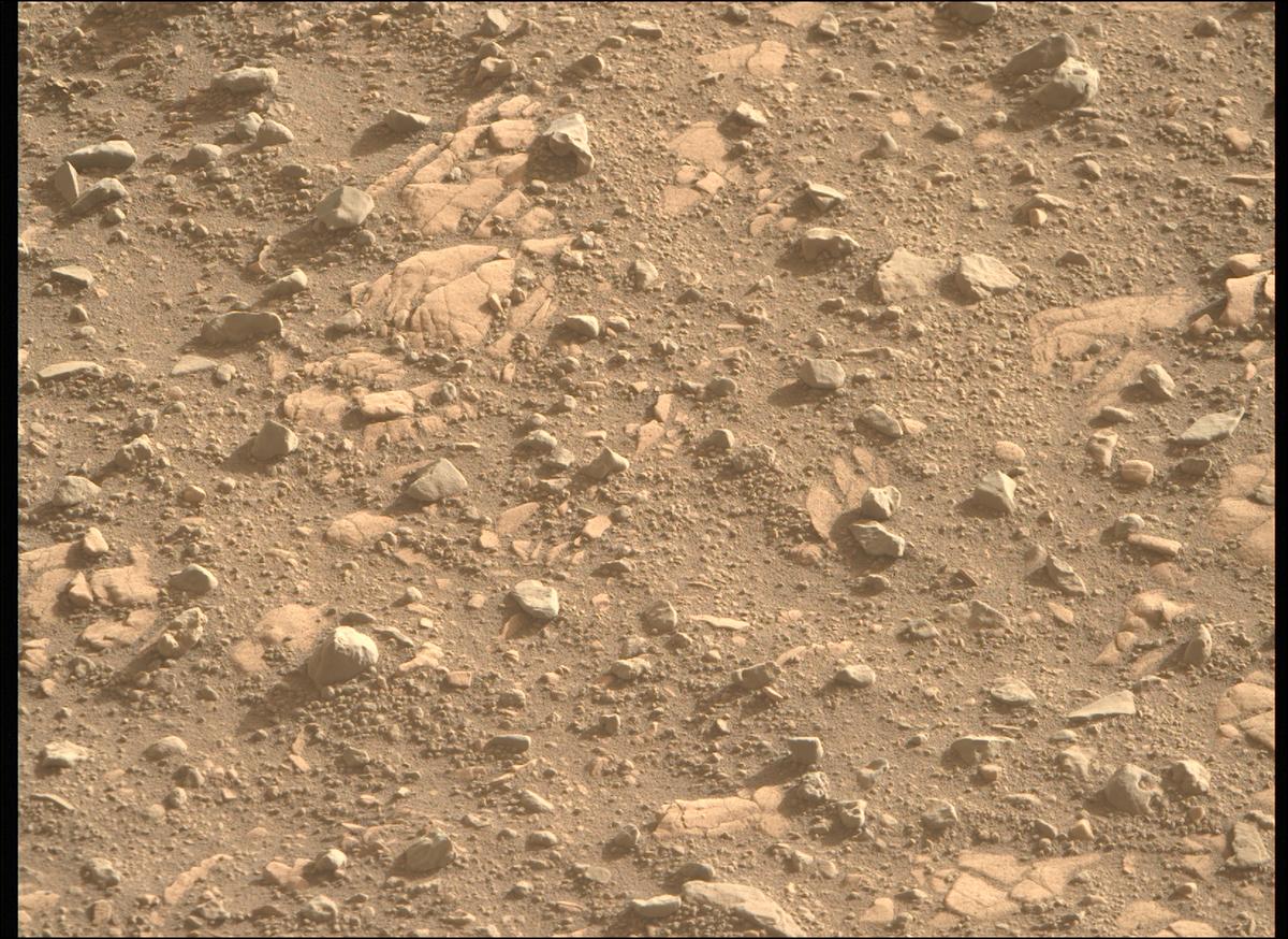 This image was taken by MCZ_RIGHT onboard NASA's Mars rover Perseverance on Sol 707