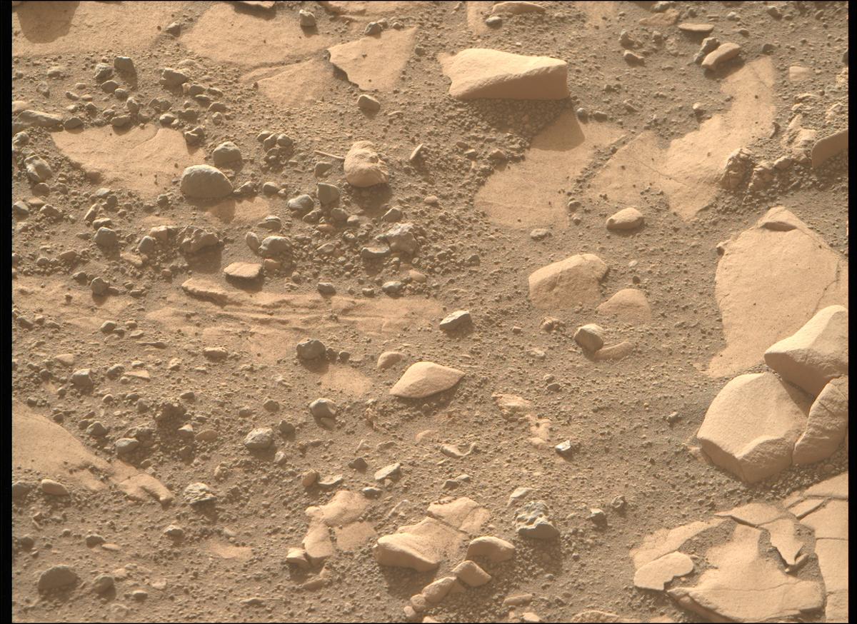 This image was taken by MCZ_RIGHT onboard NASA's Mars rover Perseverance on Sol 707