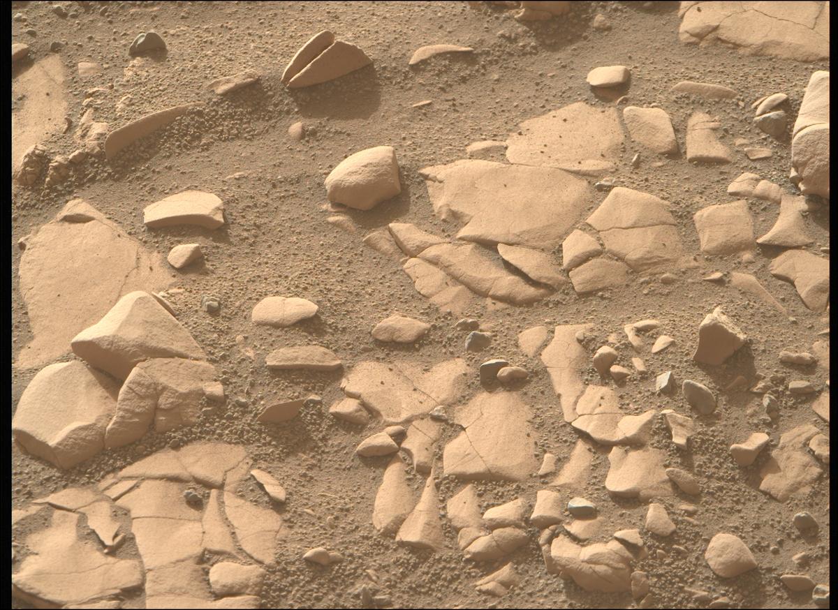 This image was taken by MCZ_RIGHT onboard NASA's Mars rover Perseverance on Sol 707