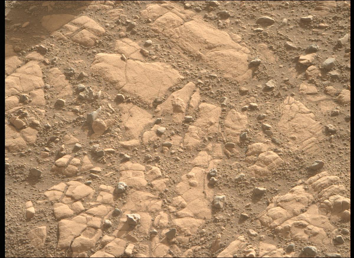 This image was taken by MCZ_RIGHT onboard NASA's Mars rover Perseverance on Sol 707