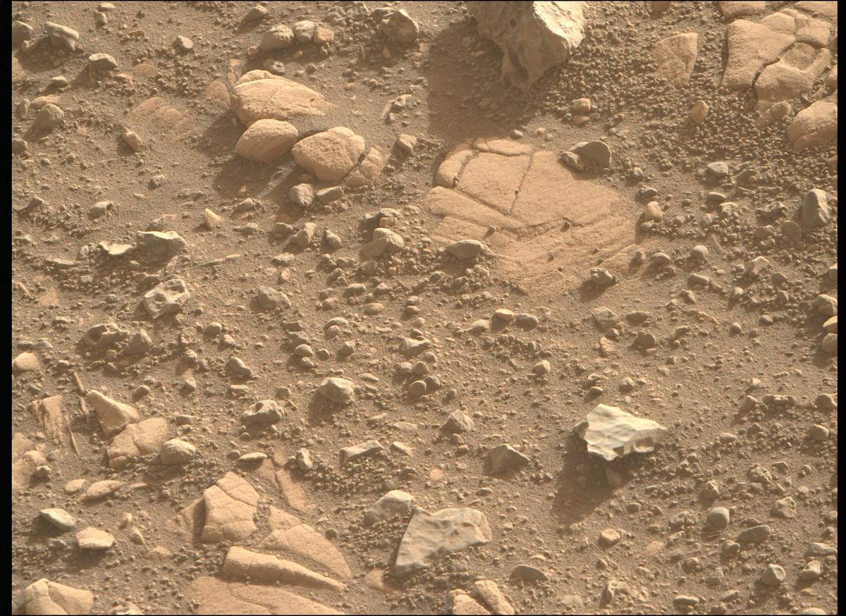 This image was taken by MCZ_RIGHT onboard NASA's Mars rover Perseverance on Sol 707