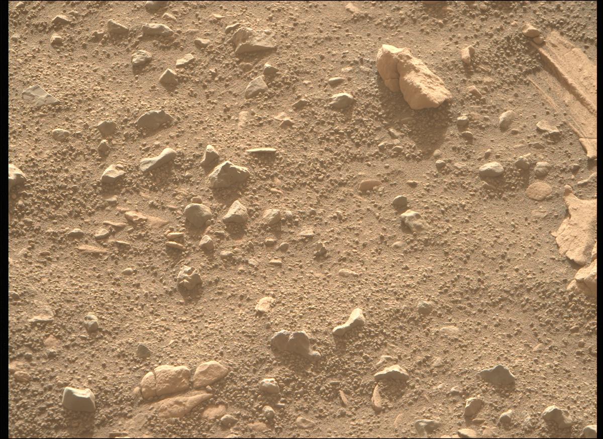 This image was taken by MCZ_RIGHT onboard NASA's Mars rover Perseverance on Sol 707