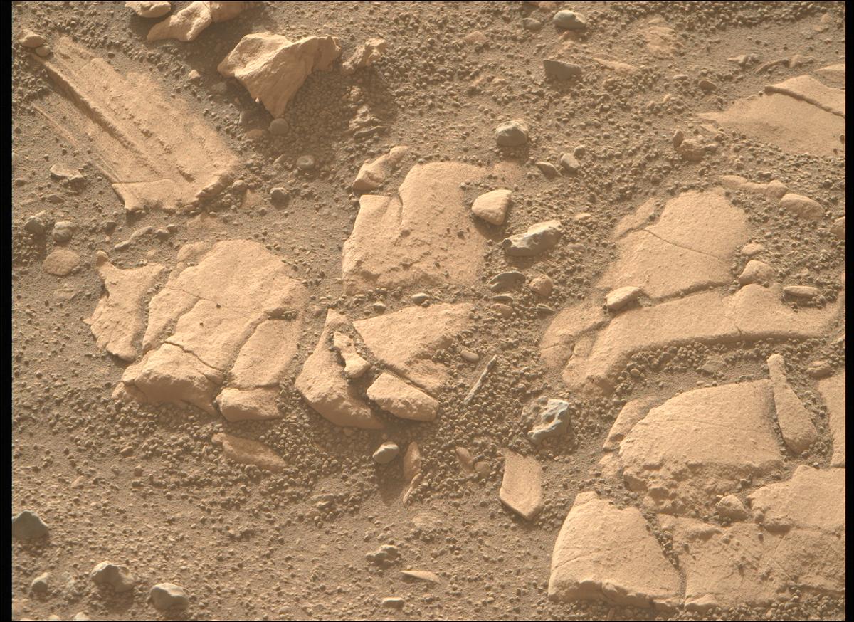 This image was taken by MCZ_RIGHT onboard NASA's Mars rover Perseverance on Sol 707