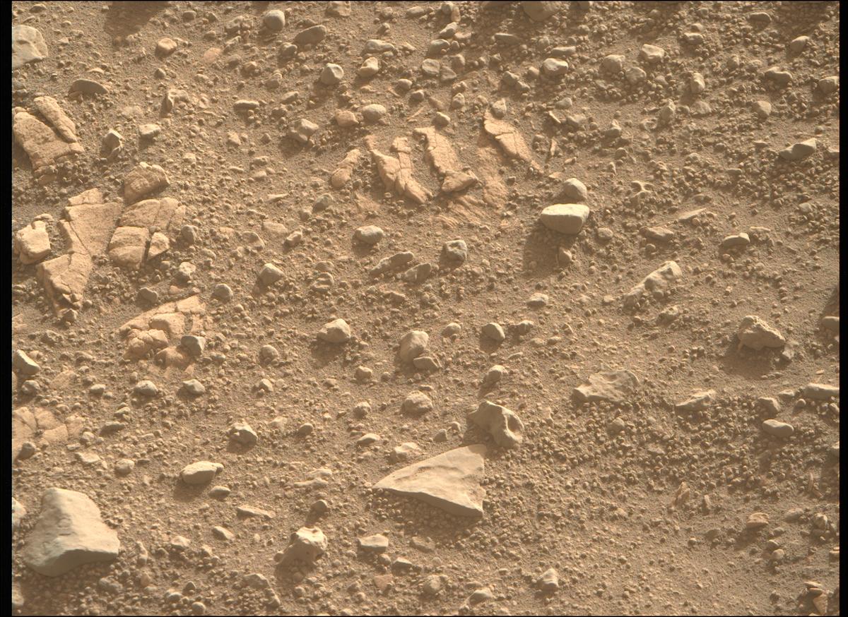 This image was taken by MCZ_RIGHT onboard NASA's Mars rover Perseverance on Sol 707