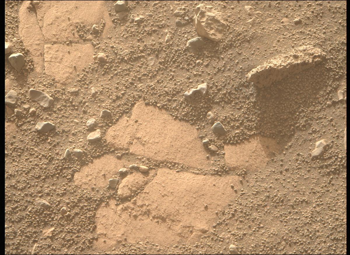 This image was taken by MCZ_RIGHT onboard NASA's Mars rover Perseverance on Sol 707