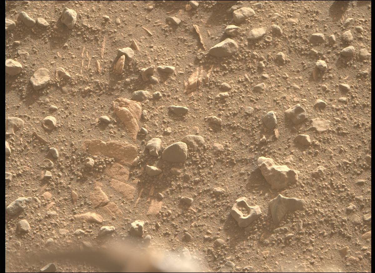 This image was taken by MCZ_RIGHT onboard NASA's Mars rover Perseverance on Sol 707