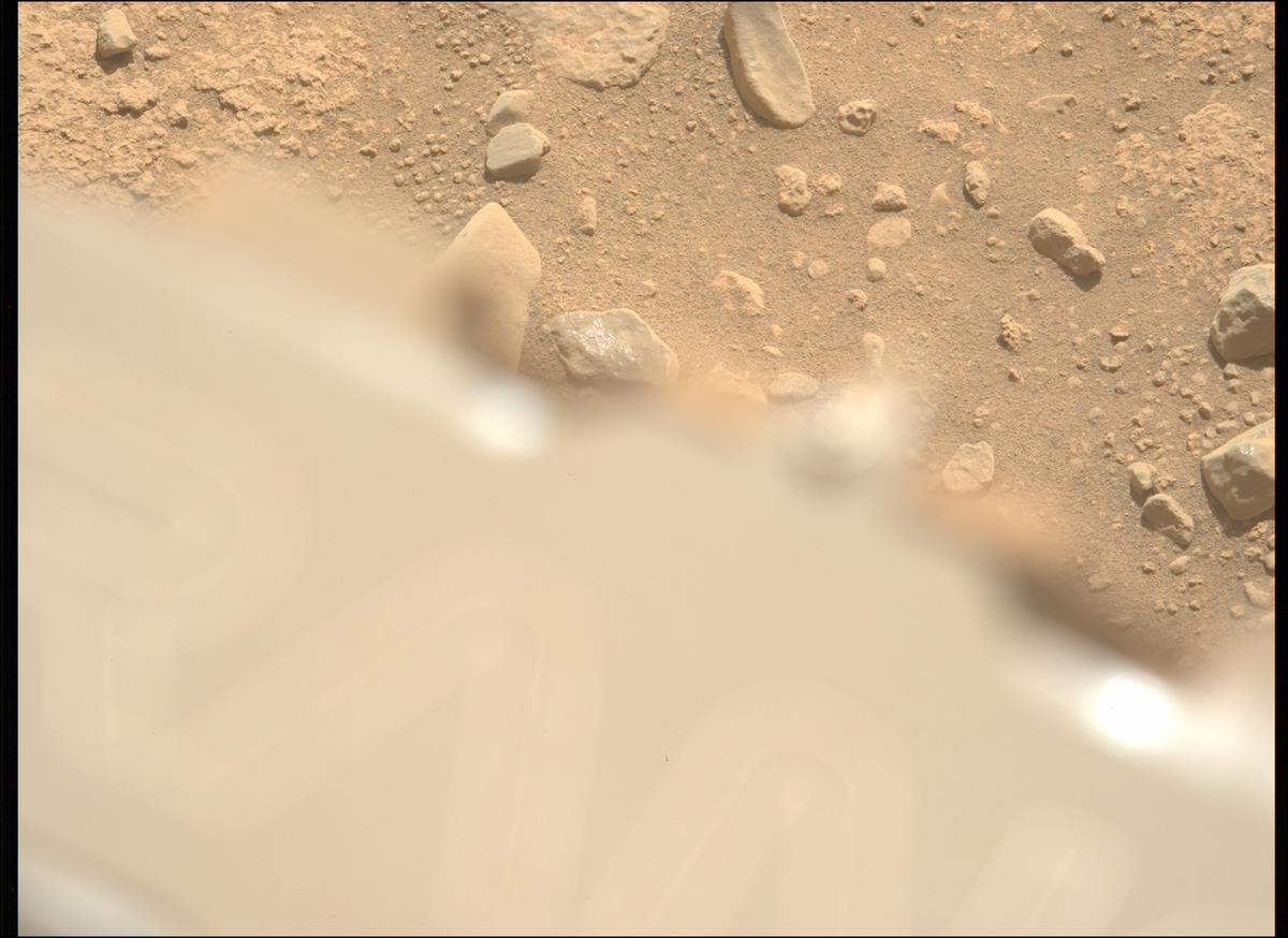 This image was taken by MCZ_LEFT onboard NASA's Mars rover Perseverance on Sol 709