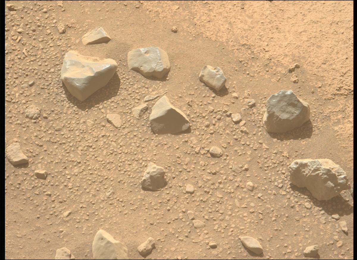 This image was taken by MCZ_LEFT onboard NASA's Mars rover Perseverance on Sol 709