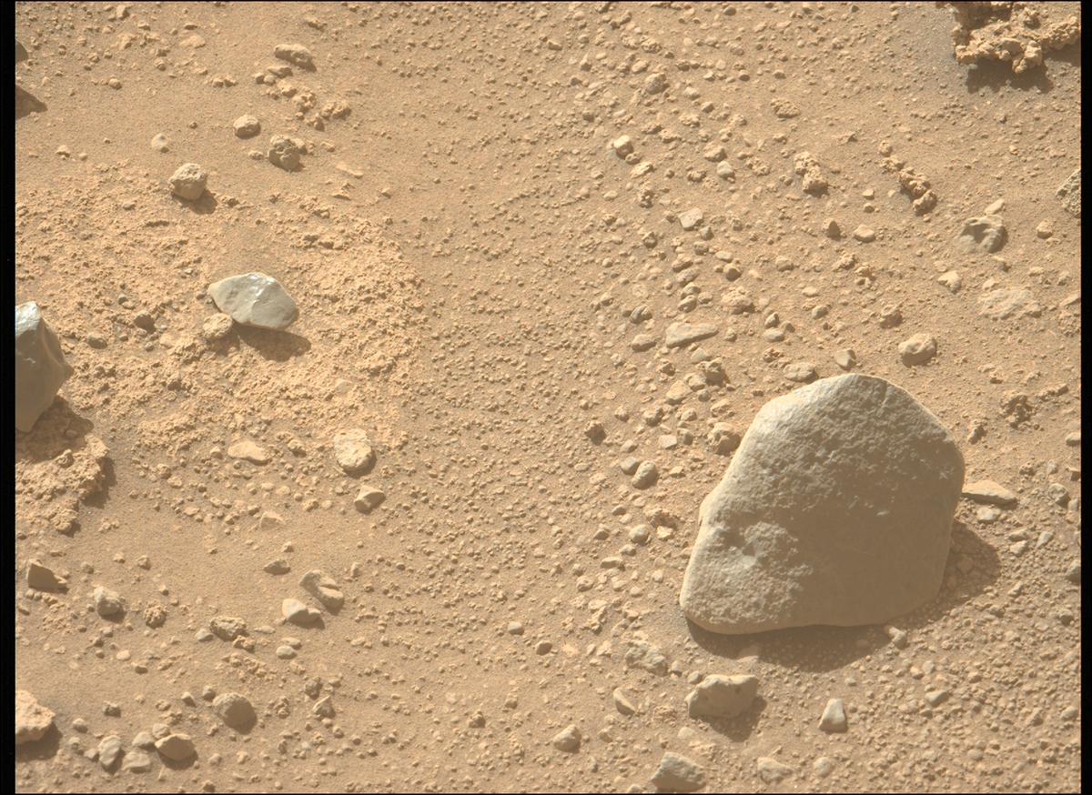 This image was taken by MCZ_LEFT onboard NASA's Mars rover Perseverance on Sol 710