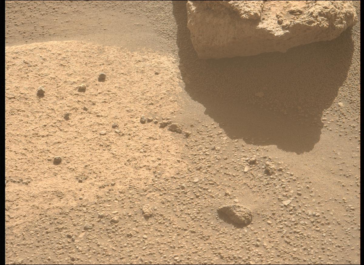 This image was taken by MCZ_LEFT onboard NASA's Mars rover Perseverance on Sol 710