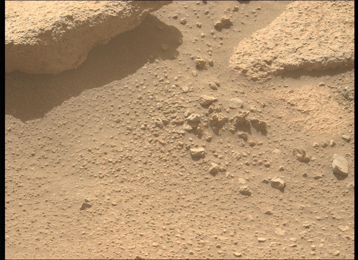 This image was taken by MCZ_LEFT onboard NASA's Mars rover Perseverance on Sol 710