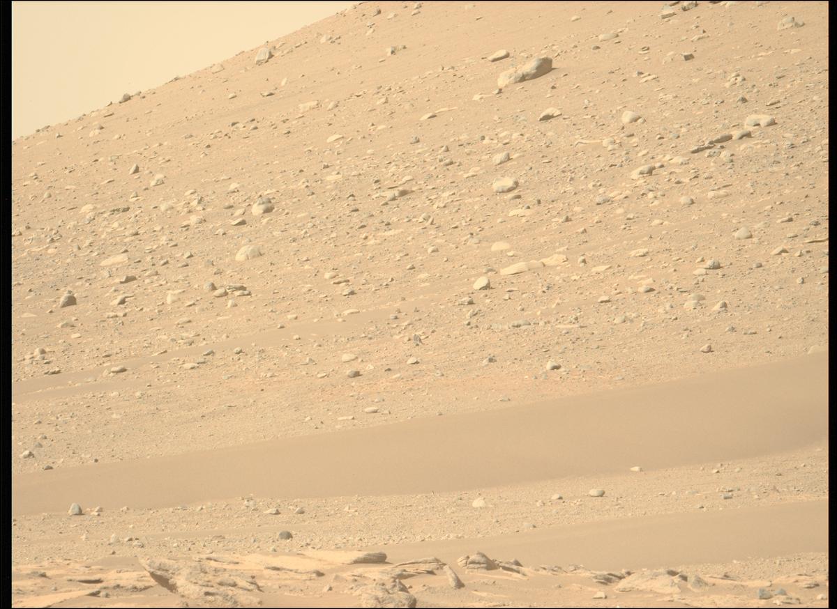 This image was taken by MCZ_LEFT onboard NASA's Mars rover Perseverance on Sol 710
