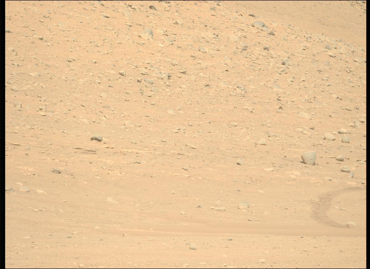 This image was taken by MCZ_LEFT onboard NASA's Mars rover Perseverance on Sol 710