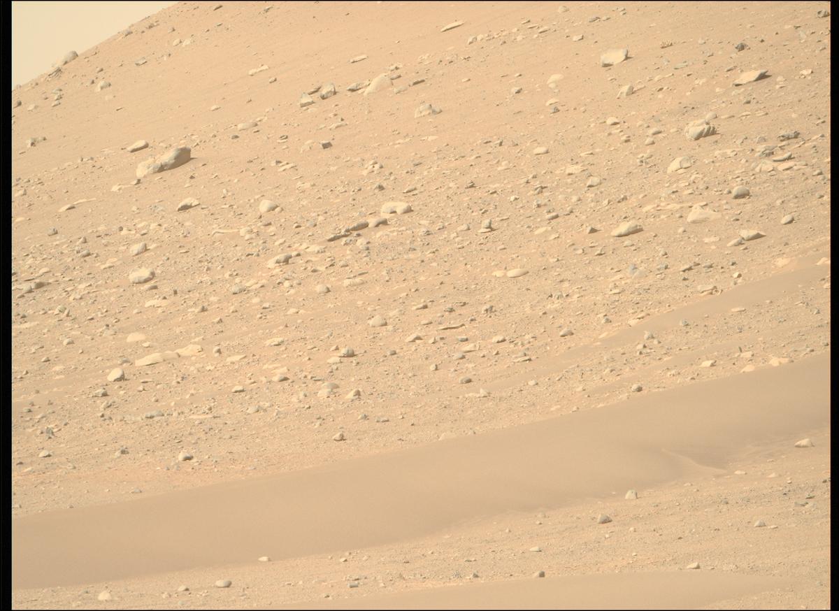 This image was taken by MCZ_RIGHT onboard NASA's Mars rover Perseverance on Sol 710