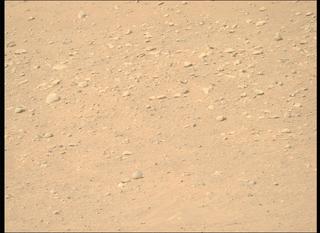 View image taken on Mars, Mars Perseverance Sol 710: Right Mastcam-Z Camera