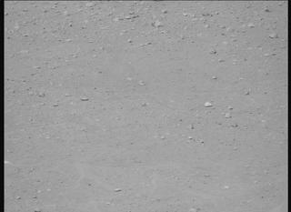 View image taken on Mars, Mars Perseverance Sol 710: Right Mastcam-Z Camera