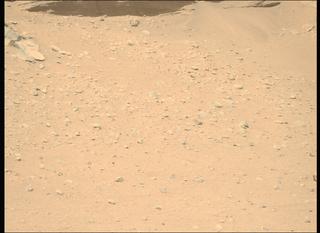 View image taken on Mars, Mars Perseverance Sol 710: Right Mastcam-Z Camera